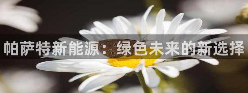 门徒娱乐主管:帕萨特新能源:绿色未来的新选择