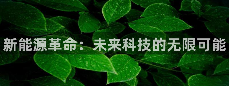 门徒娱乐左5指尖：新能源革命：未来科技的